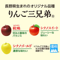 伊藤園 ニッポンエール 長野県産 りんご三兄弟 280g 1セット（48本）