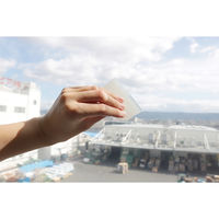 明和グラビア 窓にガッチリ貼る飛散防止フィルム BGHJ-4601 1袋