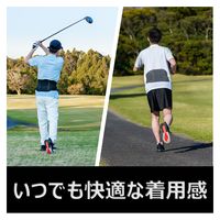 ピップ プロ・フィッツ サポーター腰LL 4902522672559 1個