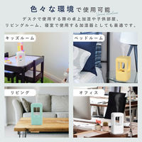 QUADS おしゃれな反重力デザイン卓上加湿器　ＡＣ／ＵＳＢ対応　ホワイト QS215WH 1台（直送品）