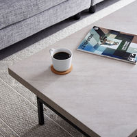 武田コーポレーション ダイニングテーブル正方形 大理石 T7-DTS80GRY 1セット（直送品）