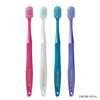 プレミアムケア ハブラシ 歯の美白 6列レギュラー ふつう ステインリムーバー毛 1本 エビス