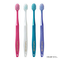 プレミアムケア ハブラシ 歯の美白 6列コンパクト ふつう 薄型ヘッド ステインリムーバー毛 1本 エビス