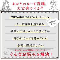 大河商事 カード/パスケース ストラップ付き 盗難防止 ファスナー小銭入れ付き おしゃれ スモーキーミント bon017-SMI 1個（直送品）