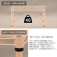 エイ・アイ・エス 19φ スチールラックセット 幅600×奥行250×高さ618mm ピンク NS6025-3PI 1台（直送品）