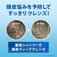 【アウトレット】h＆s（エイチアンドエス）モイスチャー コンディショナー 詰め替え 超特大サイズ 800g P&G