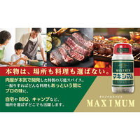 マキシマム オリジナルスパイス 140g 35本 中村食肉 アウトドア キャンプ 料理 BBQ バーベキュー 万能調味料