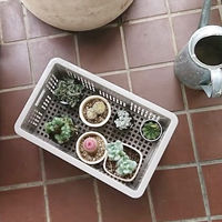 天馬 #樹脂と暮らすーR バスケットM 110013952 1個