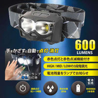 オーム電機 LEDヘッドライト センサー付 ECLAT 600ルーメン 08-0930 1個