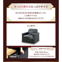 ネットフォース ラ・フォルテ 応接セット ブラック×ダークブラウン LAF-1A2T4S-AW-BK 1セット(3点入)（直送品）