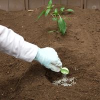 【アウトレット】【園芸用品】 フマキラー カダンパワーガード粒剤500g 4902424448351 1個