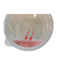 エフピコ APクリアカップ 10（53）エコ 1セット（200枚：100枚入×2袋）