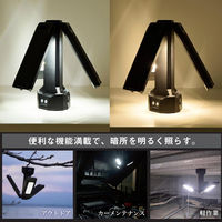 日動工業 アクティブライト ズミー FAZ-3P2 1個