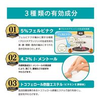 パスタイムFXこはる 40枚 5箱セット 祐徳薬品工業　アロマ香る貼り薬 フェルビナク配合 肩の痛み 腰痛【第2類医薬品】