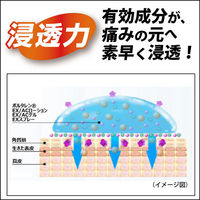 ボルタレンEXローション 50g 10箱セット Haleonジャパン 清涼感 塗り薬 肩こり痛 腱鞘炎 関節痛【第2類医薬品】