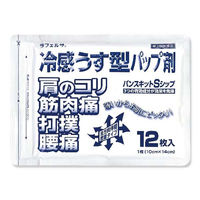 ラフェルサバンスキットSシップ 48枚 5箱セット 三友薬品　貼り薬 冷シップ パップ剤 腰痛 筋肉痛 打撲【第3類医薬品】