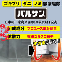 バルサン プロEXノンスモーク霧タイプ 6～10畳用 2個パック 5セット レック　煙を出さない 殺虫剤 ゴキブリ ダニ ノミ 駆除【第2類医薬品】