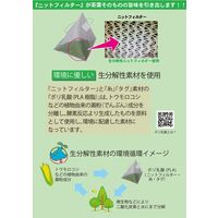 国太楼 ティーバッグでおいしい一番摘み知覧茶 1袋（10バッグ入）