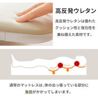 三栄コーポレーション【軒先渡し】 折り畳みウレタンベッド シングル ブラウン A1-AGATESBR 1台（直送品）