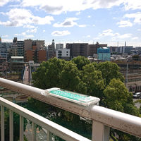 ニッショウ機器 鳥さん避けテク プレート(大) 6300046043 1個（直送品）