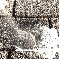 ニッショウ機器 鳥さん避けテク クリーナー270ml 6300046052 1本（直送品）