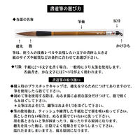 モリベクリエーション 熊野筆 小筆 のぼたん MNS-08HP 1セット