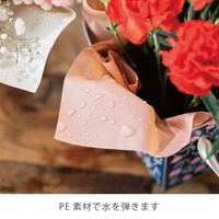 ヘッズ 無地PEロール-5/クラフト MPE-RO5 1巻