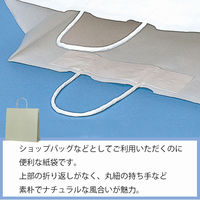 シモジマ 25チャームバッグ 3才 グレー無地 003254300 1袋(50枚)
