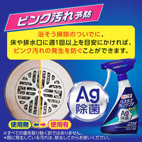 ルックプラス バスタブクレンジング 銀イオンプラス 香りが残らないタイプ 詰め替え 特大 1150ml 1セット（3個） ライオン