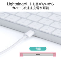 サンワサプライ ダイレクト:Apple Magic Keyboard用カバー(2枚入り) 200-FA009 1個（直送品）