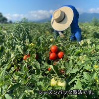 ナガノトマト 信州生まれのおいしいトマト食塩無添加（機能性表示食品） 190g×20個 4902168410270（直送品）