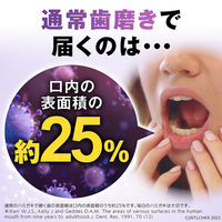 ジョンソン・エンド・ジョンソン（株） 薬用リステリン トータルケア プラス 1000ml×2P×2set（合計4本） ノンフード（直送品）