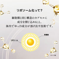 ロート ザ・リポ ビタミンCディープカプセル 1個 ロート製薬