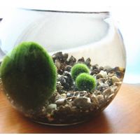 【園芸用品】 エコー金属 天然石（ミックス）500g 1506-288 1袋