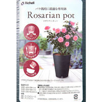 リッチェル バラ鉢 ロザリアンポット 24型 ダークグリーン 270935 1個（直送品）