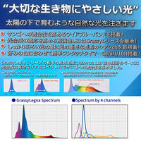 ボルクスジャパン GrassyLegna 45 Marin 294027 1台（直送品）