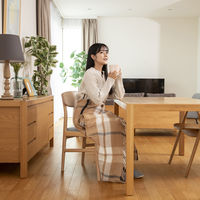 KOIZUMI 電気肩ひざ掛け KDH-50227 1台