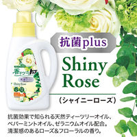 【旧品】香りつづくトップ 抗菌プラス 詰め替え 720g 1セット（2個入） 衣料用洗剤 ライオン