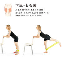 SAKURAI（サクライ） トレーニング器具 下半身ひきしめ 54183 1セット(2本入)（直送品）