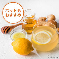 伊藤園 TULLY'S&TEA（タリーズ）TEA レモネード with SPICE 450ml 1セット（48本）