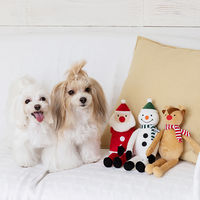 パピーのくつした 1個 犬用 おもちゃ アルクロース