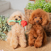 白いバラ 1個 犬用 おもちゃ アルクロース