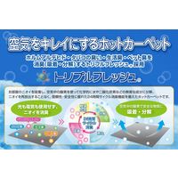 YAMAZEN 空気をキレイにする 省エネ 電気カーペット 1畳 SUS-105 1台