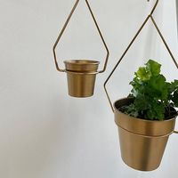 杉田エース CLOVERハンギングポット 15.5cm ゴールド CXO694361 1個（直送品）