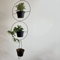 杉田エース CLOVER3ポット ハンギング 2トーン CXO694369 1個（直送品）