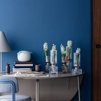 杉田エース Broste COPENHAGENヒヤシンスガラスベース クリア H32 CWG956909 1個（直送品）