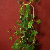 杉田エース Botanopiaつる用サポート ブラス CYB694534 1枚（直送品）