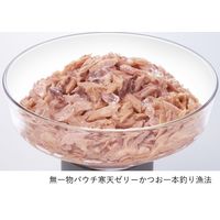 無一物 寒天ゼリータイプ かつお 一本釣り漁法 40g 12袋 はごろも キャットフード ウェット パウチ