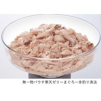 無一物 寒天ゼリータイプ まぐろ 一本釣り漁法 40g 12袋 はごろも キャットフード ウェット パウチ