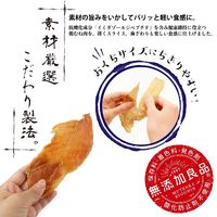 ドギーマンハヤシ 仕上名人 鶏むね肉のちぎれる薄切り 無添加 100g 3袋 犬用 おやつ